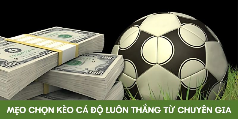 Chọn vào tỷ lệ kèo nhà cái U888 ăn tiền thưởng lớn